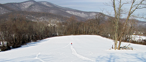 A snow-covered hillside with bare trees and mountains beyond